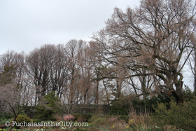 2018-04-fort-tryon-park-left-40