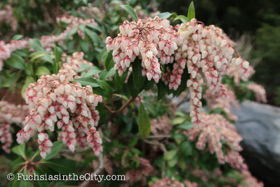 2018-04-fort-tryon-park-left-48