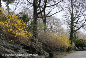 2018-04-fort-tryon-park-left-60