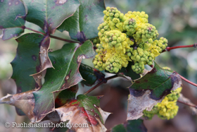 2018-04-fort-tryon-park-left-91