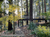 2020-11-Leach-Botanical-Garden-17-thumbnail