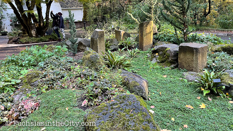 2020-11-Leach-Botanical-Garden-2