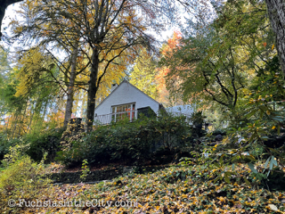 2020-11-Leach-Botanical-Garden-4