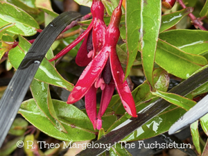 65FD05CB-CF4F-4380-8CAD-5BA73BEA6620_1_102_o