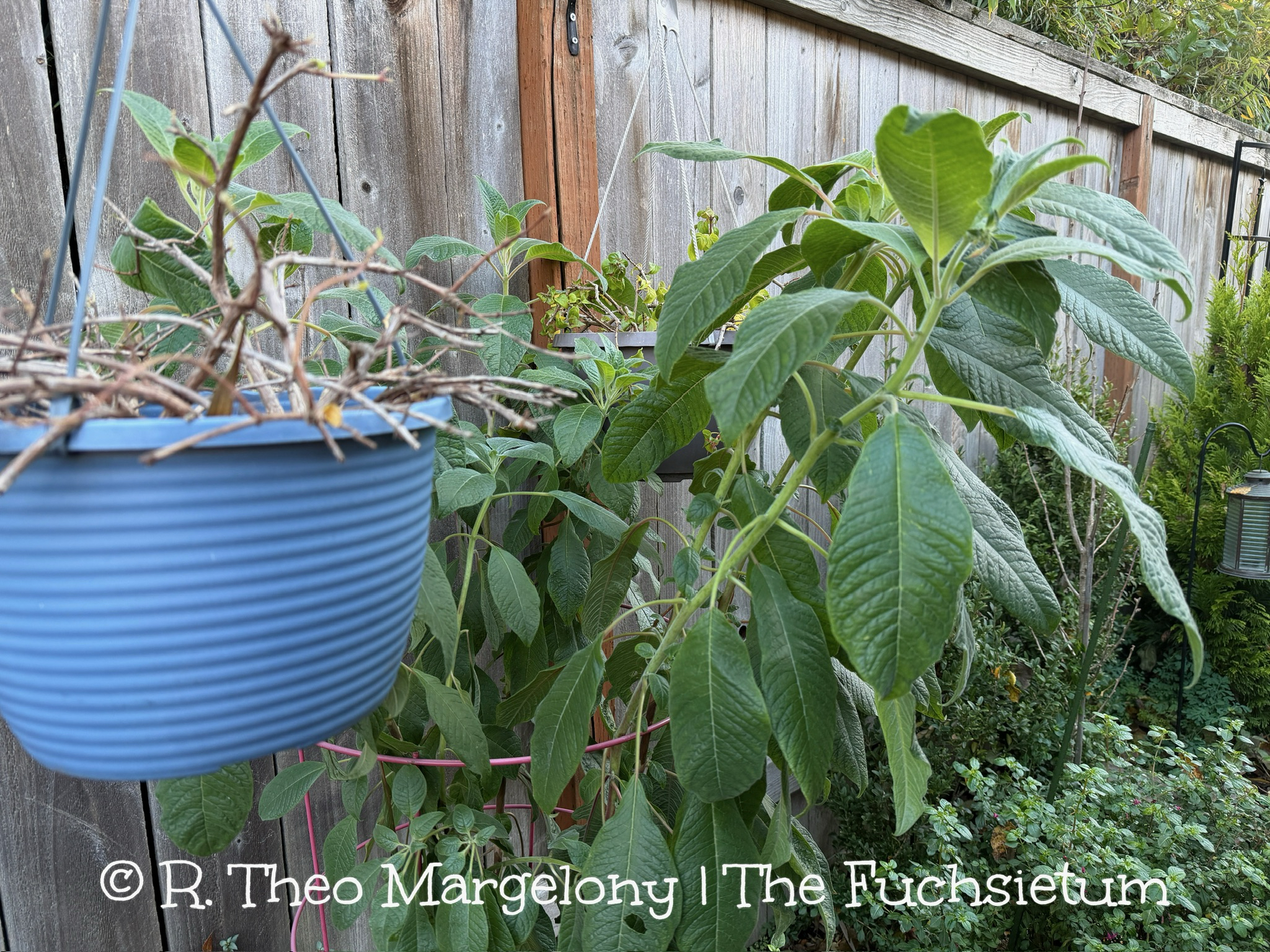 764BA12A-41A5-4F02-A4C4-43C2002795DC_1_102_o