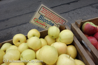apples-11