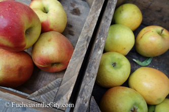 apples-30