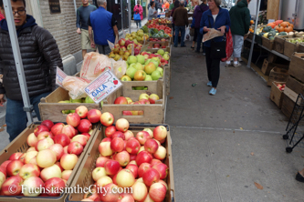 apples-5