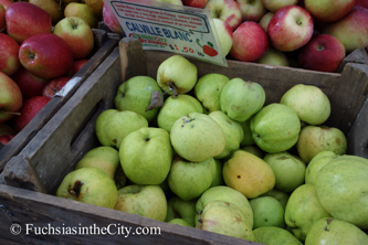 apples-8