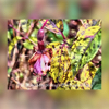 B78C0FAE-4E1E-4EB2-B32E-CFF20DA7A3CA_1_105_c