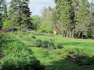 bailey-arboretum-12