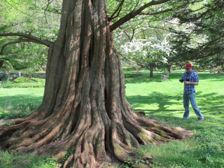 bailey-arboretum-14