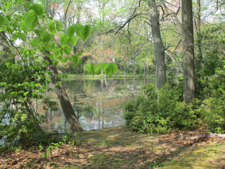 bailey-arboretum-2