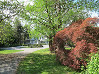 bailey-arboretum-6