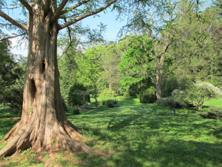 bailey-arboretum-8