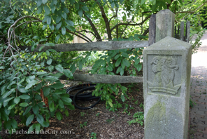 bartrams-garden-9
