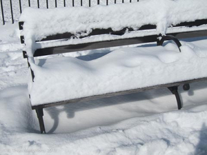blizzard-nemo-08
