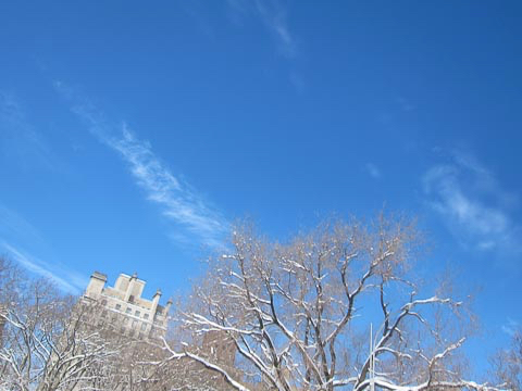 blizzard-nemo-15