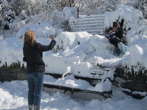 blizzard-nemo-33