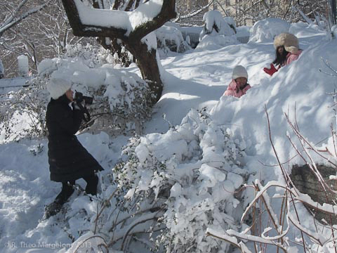 blizzard-nemo-35
