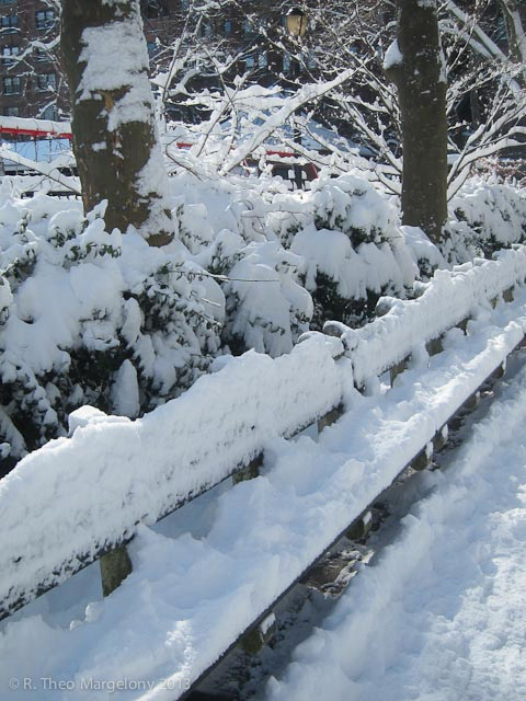 blizzard-nemo-70