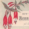 Buy yopu meats at kennedy&#39;s Market copy