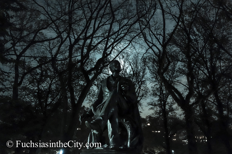 central-park-at-night-105