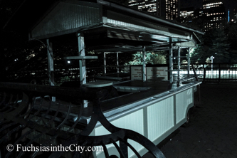 central-park-at-night-124