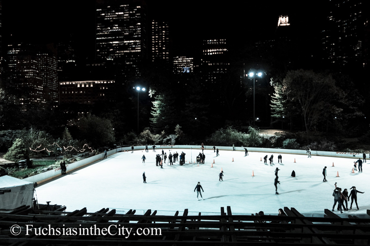 central-park-at-night-125