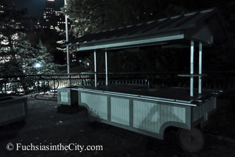 central-park-at-night-127