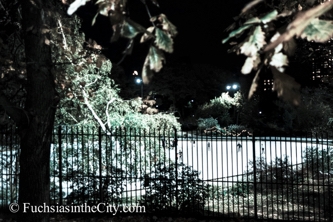 central-park-at-night-128