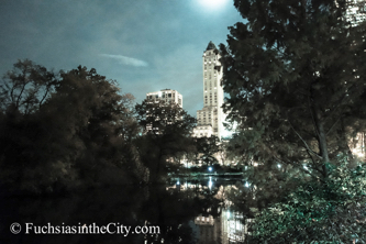 central-park-at-night-141