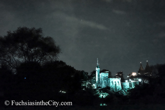 central-park-at-night-24