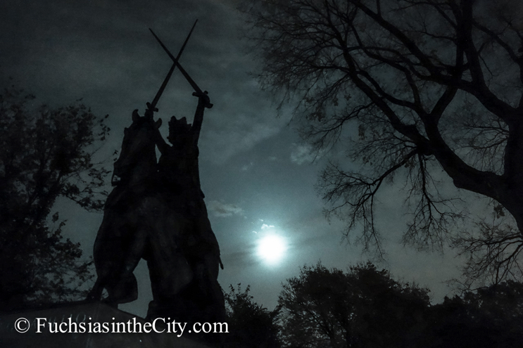 central-park-at-night-40