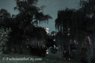 central-park-at-night-46