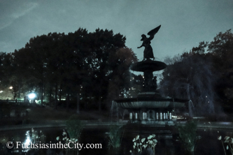 central-park-at-night-49
