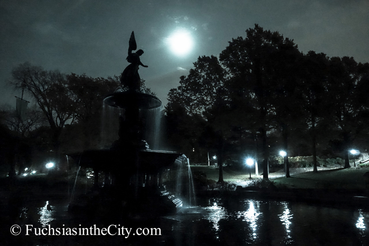 central-park-at-night-58