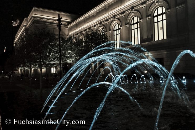 central-park-at-night-7