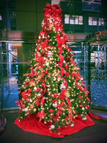 christmas-2012-10