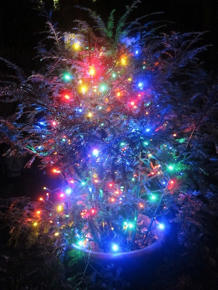 christmas-2012-28