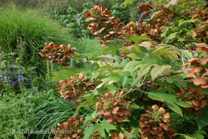 conservatory-garden-25