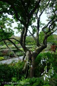conservatory-garden-37