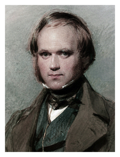 darwin