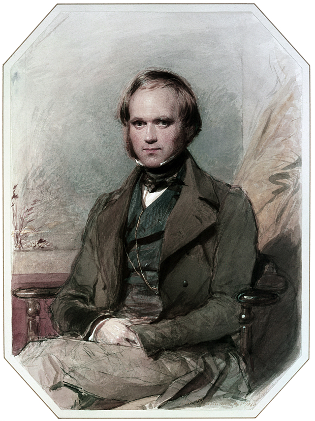 darwin