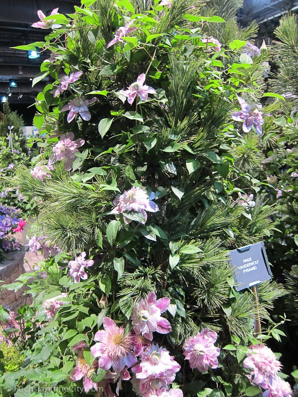 flowershow-2013-106