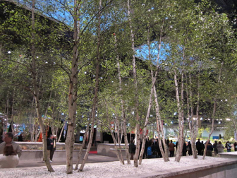 flowershow-2013-14