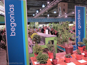 flowershow-2013-249