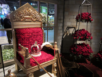 flowershow-2013-25