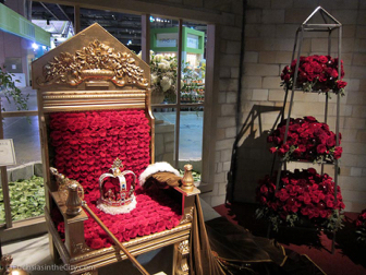 flowershow-2013-26