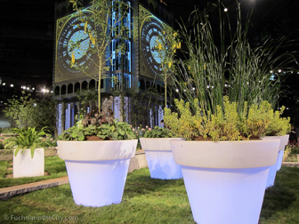flowershow-2013-29